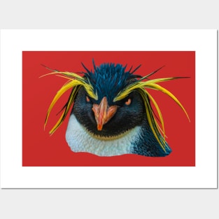 Rockhopper Penguin Posters and Art